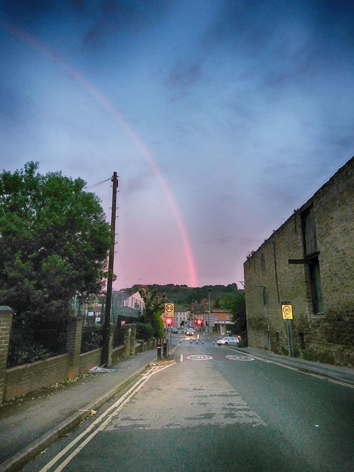 Are Pink Rainbows Rare?